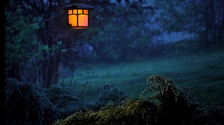 Enchanting Lantern in Tranquil Blue Hour Scene wallpaper
