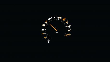 Animal Speedometer Adventure wallpaper