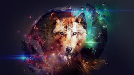 Magic wolf - Fantasy art wallpaper