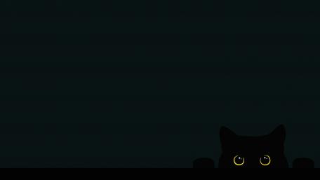 Black cat wallpaper