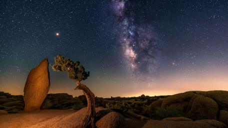 Rock and trees under the Milky way wallpaper