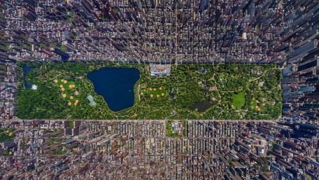 Central Park from above wallpaper