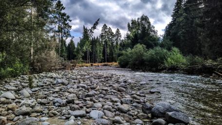 Serene Riverbed Amidst Lush Greens and Rocky Terrain wallpaper