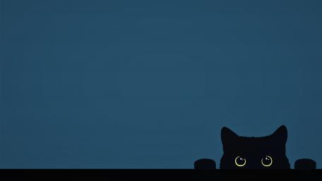 Black cat with yellow eyes in blue wall wallpaper