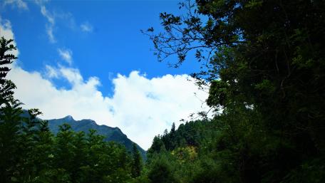 Breathtaking Mountain Landscape in Sri Lanka wallpaper