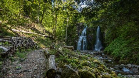 Tranquil Waterfall in Lush Green Forest wallpaper