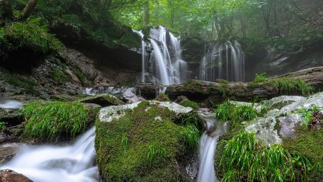 Tranquil Forest Waterfall Serenity wallpaper