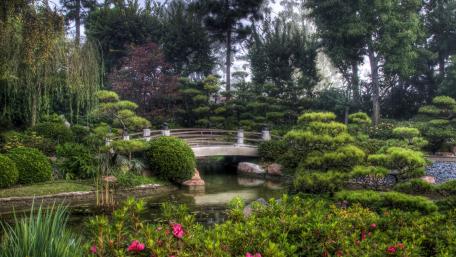 Serene Garden Footbridge Over Tranquil Pond wallpaper