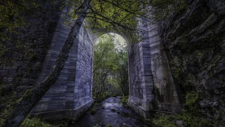 Enchanted Forest Archway wallpaper