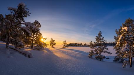 Glimpse of sun wallpaper