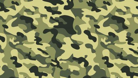 Guerrilla Pattern wallpaper