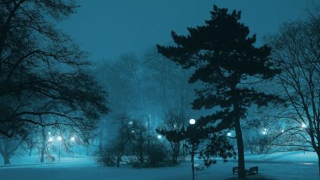 Winter Night Magic in a Park Scene wallpaper