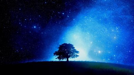 Enchanting Night Under a Solitary Tree wallpaper