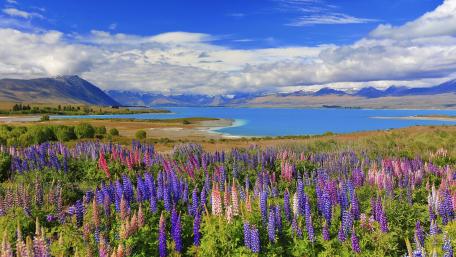 Lake Tekapo wallpaper