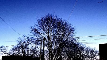 Serene Urban Landscape at Dusk wallpaper