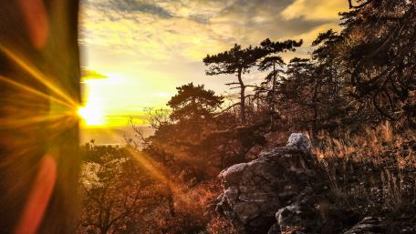 Golden Sunset Over Tranquil Nature Scene wallpaper