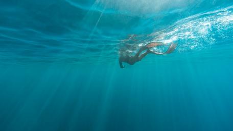 Serene Underwater Adventure in Crystal Blue Sea wallpaper