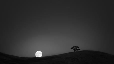Silent Night Under the Full Moon wallpaper