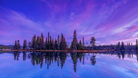 Serene Purple Reflections in Nature wallpaper