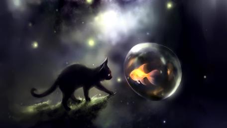 Enchanting Encounter with a Whimsical Cat and Fish wallpaper