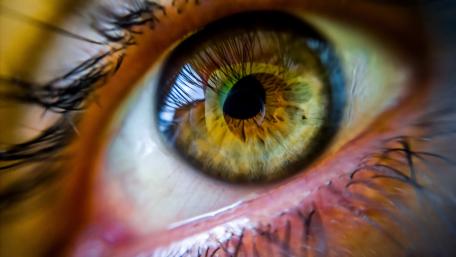 The Essence of Observation wallpaper
