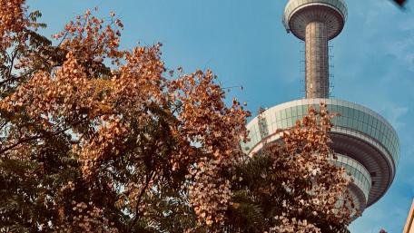 Something, like Sky Tree in Tokyo, erected in Nanjing wallpaper