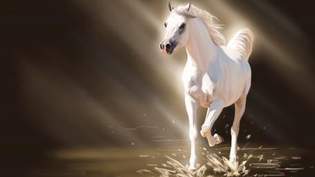 Majestic White Horse in Motion wallpaper