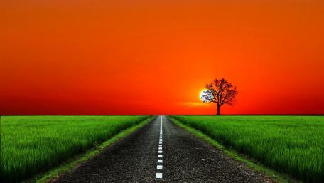 Solitary Journey Beneath a Fiery Sky wallpaper