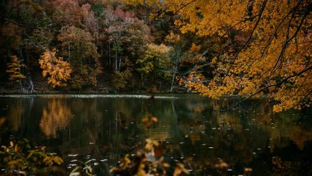 Autumn Serenity by the Lake wallpaper