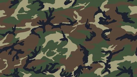 Camouflage Abstraction in Green and Brown Tones wallpaper