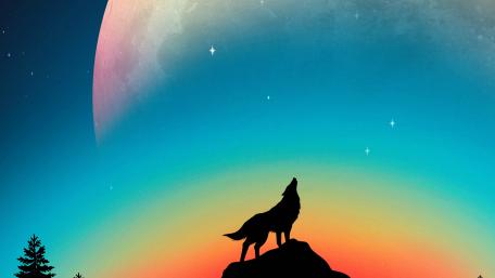 Wolf howling wallpaper