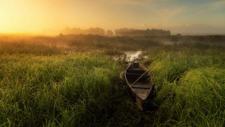 Serene Sunrise over Swamp Waters wallpaper