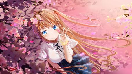 Cherry Blossom Serenity wallpaper