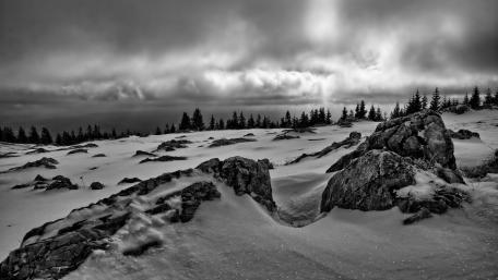 Silent Monochrome Winter Landscape wallpaper