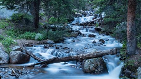 Serenity of a Forest Stream in 5K wallpaper