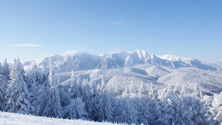 Majestic Winter Wonderland Scene Shining in Blue Light wallpaper