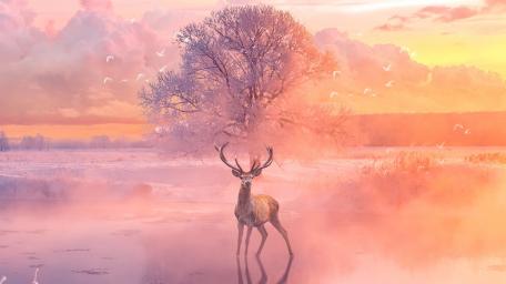 Fantasy Sunrise with Enchanted Deer wallpaper