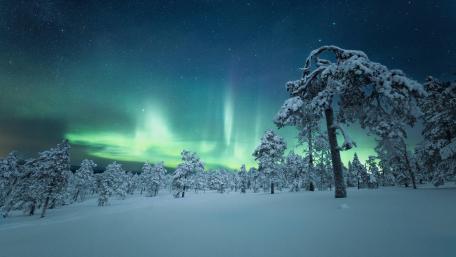 Winter Wonderland Under the Northern Lights wallpaper