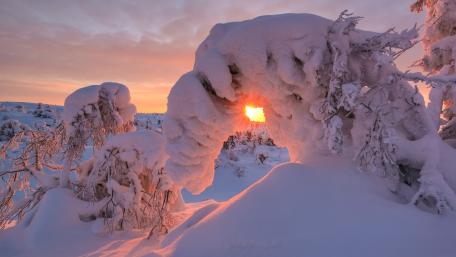 Winter Wonderland in Stunning Snow Glow wallpaper
