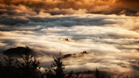 Fog wallpaper