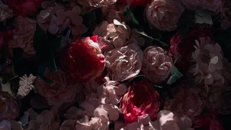 Flower wall wallpaper