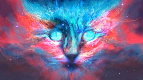 Dreamy space cat with blue eyes wallpaper