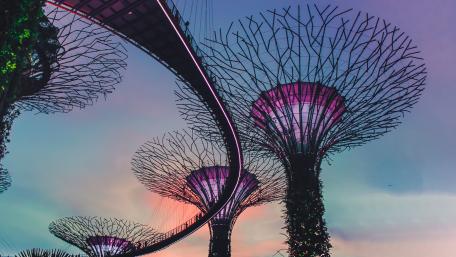 Supertree Grove wallpaper