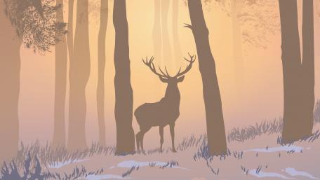 Mysterious Stag in Enchanted Forest wallpaper
