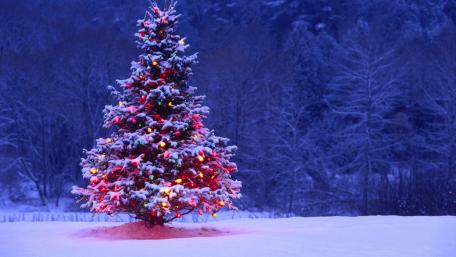 Christmas Splendor (Day) wallpaper