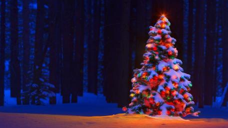 Christmas Splendor (Night) wallpaper