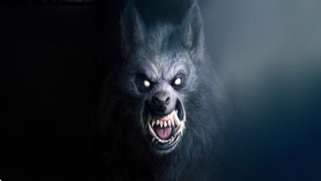 Werewolf wallpaper