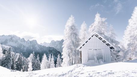 Snowy Tranquility in a Winter Wonderland wallpaper