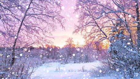 Purple Winter Wonderland wallpaper