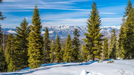 Kings Canyon National Park wallpaper
